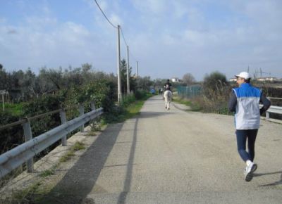 Premi per vedere l'immagine alla massima grandezza