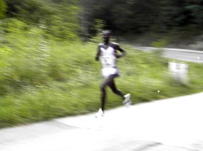 Premi per vedere l'immagine alla massima grandezza