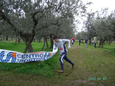 Premi per vedere l'immagine alla massima grandezza