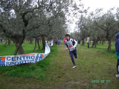 Premi per vedere l'immagine alla massima grandezza