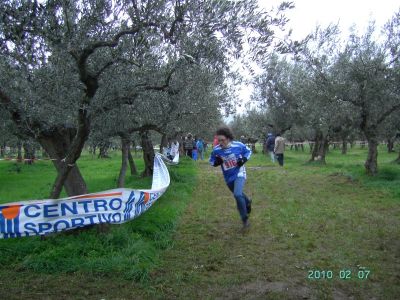 Premi per vedere l'immagine alla massima grandezza