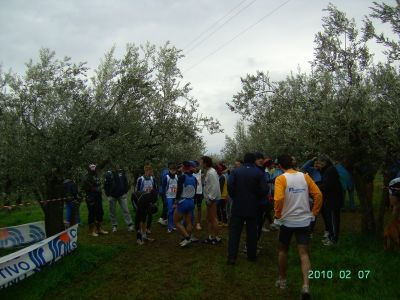 Premi per vedere l'immagine alla massima grandezza