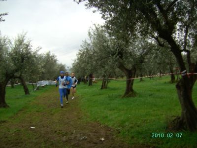 Premi per vedere l'immagine alla massima grandezza