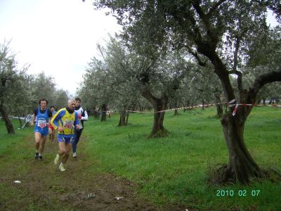 Premi per vedere l'immagine alla massima grandezza