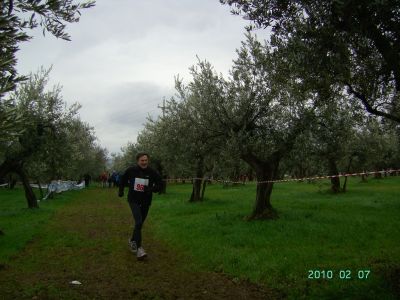 Premi per vedere l'immagine alla massima grandezza