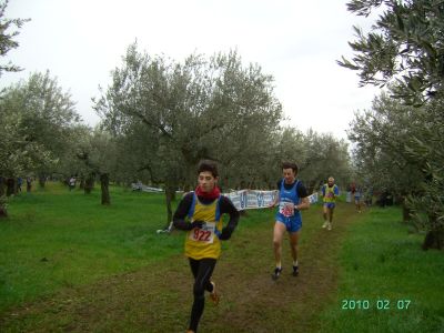 Premi per vedere l'immagine alla massima grandezza