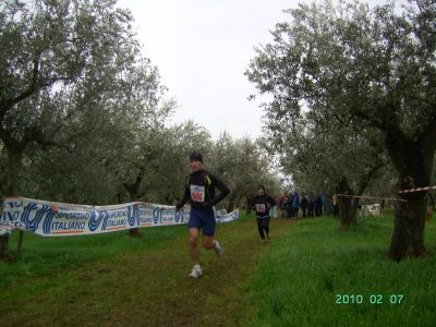 Premi per vedere l'immagine alla massima grandezza