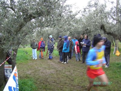 Premi per vedere l'immagine alla massima grandezza