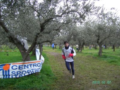 Premi per vedere l'immagine alla massima grandezza