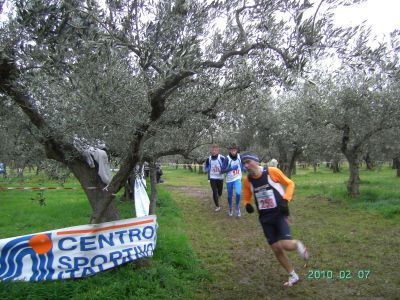 Premi per vedere l'immagine alla massima grandezza