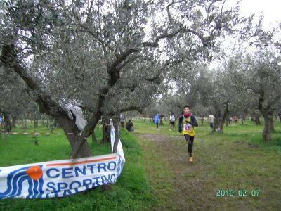 Premi per vedere l'immagine alla massima grandezza