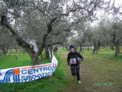 Premi per vedere l'immagine alla massima grandezza