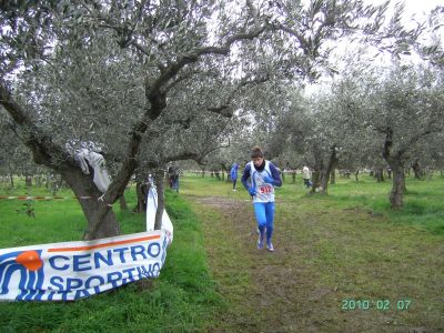 Premi per vedere l'immagine alla massima grandezza