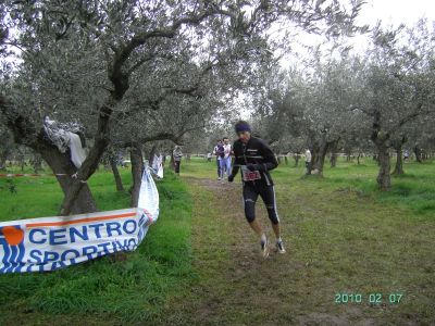 Premi per vedere l'immagine alla massima grandezza