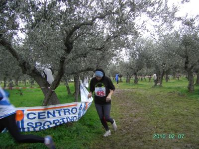 Premi per vedere l'immagine alla massima grandezza