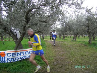 Premi per vedere l'immagine alla massima grandezza