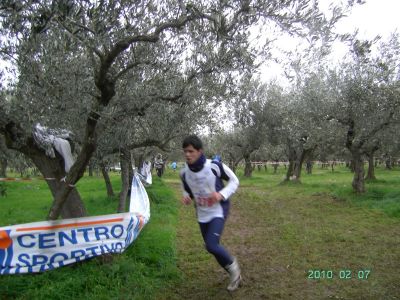 Premi per vedere l'immagine alla massima grandezza