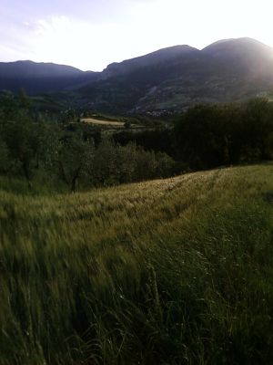 Premi per vedere l'immagine alla massima grandezza