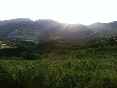 Premi per vedere l'immagine alla massima grandezza