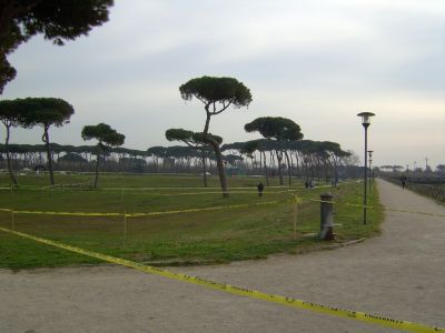 Premi per vedere l'immagine alla massima grandezza