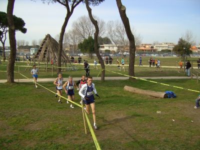 Premi per vedere l'immagine alla massima grandezza