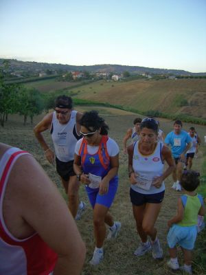 Premi per vedere l'immagine alla massima grandezza