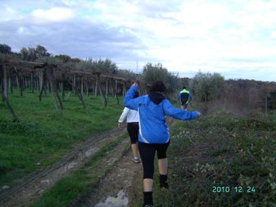 Premi per vedere l'immagine alla massima grandezza