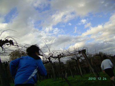 Premi per vedere l'immagine alla massima grandezza