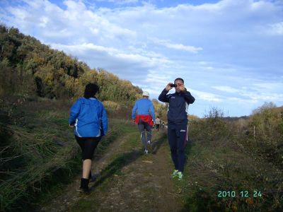 Premi per vedere l'immagine alla massima grandezza