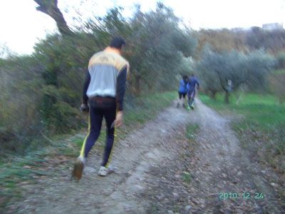 Premi per vedere l'immagine alla massima grandezza