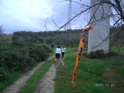 Premi per vedere l'immagine alla massima grandezza