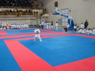 Premi per vedere l'immagine alla massima grandezza