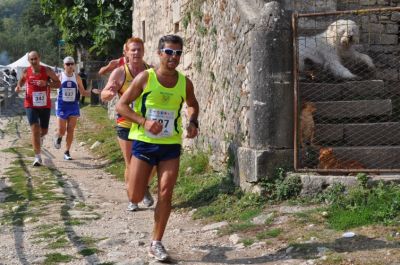 Premi per vedere l'immagine alla massima grandezza