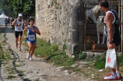 Premi per vedere l'immagine alla massima grandezza