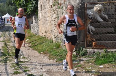 Premi per vedere l'immagine alla massima grandezza