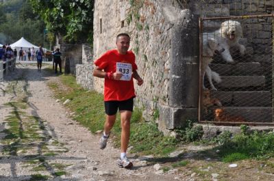 Premi per vedere l'immagine alla massima grandezza