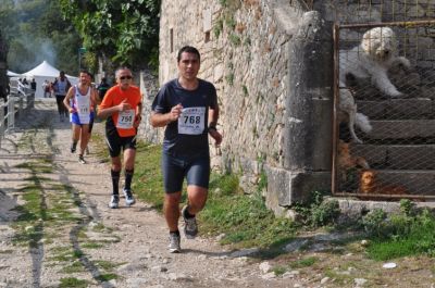 Premi per vedere l'immagine alla massima grandezza