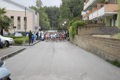 Premi per vedere l'immagine alla massima grandezza