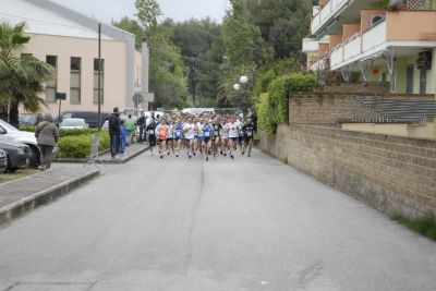 Premi per vedere l'immagine alla massima grandezza