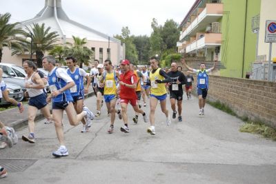 Premi per vedere l'immagine alla massima grandezza