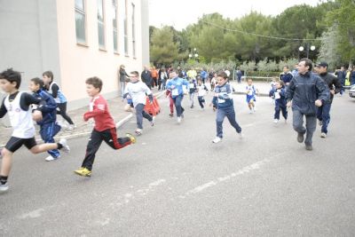 Premi per vedere l'immagine alla massima grandezza