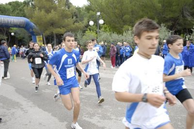 Premi per vedere l'immagine alla massima grandezza