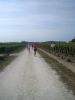 medoc09_061.jpg