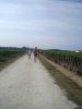 medoc09_062.jpg