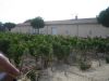 medoc09_070.jpg