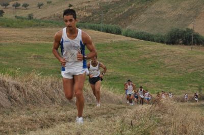 Premi per vedere l'immagine alla massima grandezza