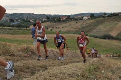 Premi per vedere l'immagine alla massima grandezza