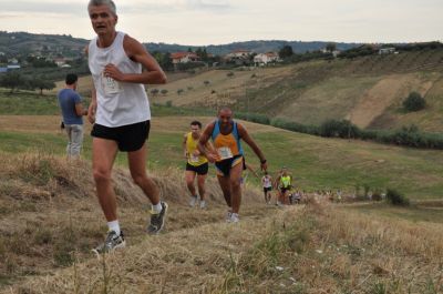 Premi per vedere l'immagine alla massima grandezza