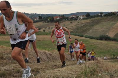 Premi per vedere l'immagine alla massima grandezza