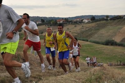 Premi per vedere l'immagine alla massima grandezza